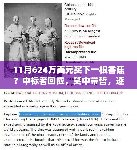 天價(jià)香蕉背后的故事，追尋內(nèi)心寧靜之旅的啟示