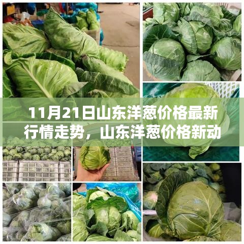 新聞動態 第435頁
