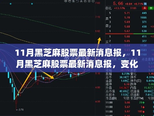11月黑芝麻股票最新動態，變化中的學習之路，成就感的源泉，攜手共創成功未來
