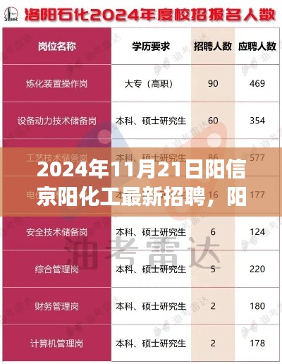 陽信京陽化工最新招聘現象深度解讀，探析價值與影響，2024年招聘展望