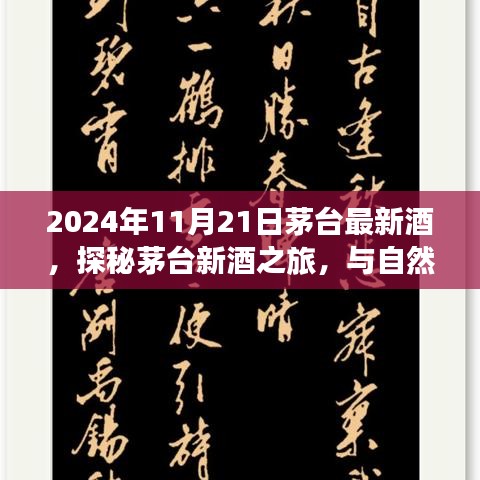 2024年11月21日茅臺最新酒，探秘茅臺新酒之旅，與自然美景共舞的日子