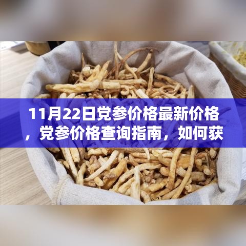 11月22日黨參價格最新價格，黨參價格查詢指南，如何獲取11月22日最新黨參價格