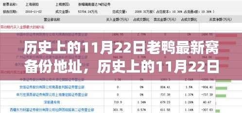 歷史上的11月22日，老鴨最新窩備份地址背后的故事與深遠(yuǎn)影響