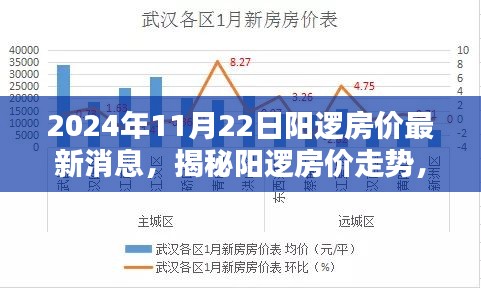 陽邏房價最新動態(tài)，深度分析走勢與揭秘最新消息（2024年11月22日）