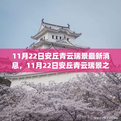 11月22日安丘青云瑞景之旅，探尋自然之美，擁抱內心寧靜