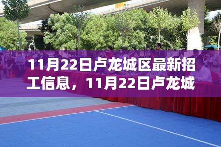 11月22日盧龍城區最新招工信息詳解與評測報告