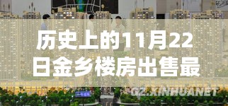 歷史上的今天，揭秘金鄉(xiāng)樓房出售最新消息，獨家報道于11月22日