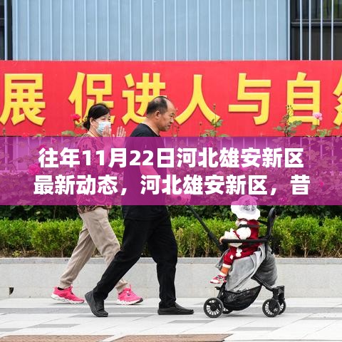 河北雄安新區(qū)歷年11月22日最新動態(tài)，昔日藍圖成現實進展探析