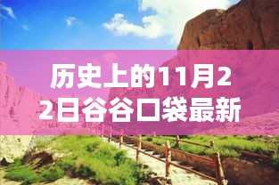 谷谷口袋最新版革新之路，歷史上的11月22日回顧
