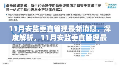 深度解析，11月安監垂直管理最新消息，特性、體驗與競品對比全面解讀