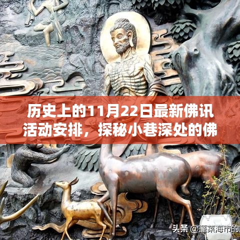 歷史上的11月22日佛訊活動揭秘，小巷深處的盛宴與最新動態