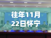 往年11月22日懷寧案件深度剖析與觀點(diǎn)闡述，最新案例分析報(bào)告