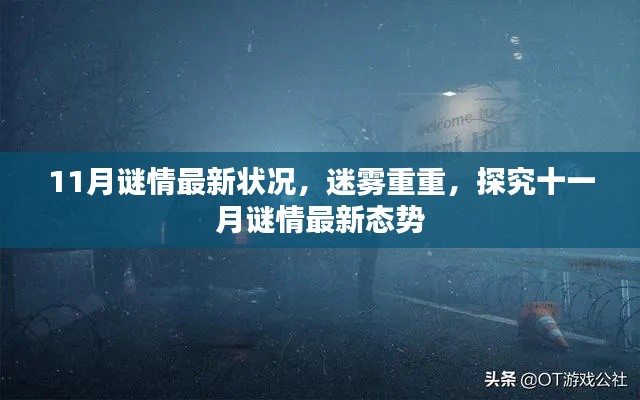 十一月謎情揭秘，最新動態與迷霧重重的探究