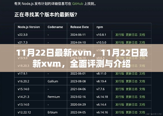 最新xvm全面評測與介紹，深度探討其優(yōu)勢與特點