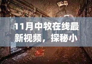 揭秘小巷深處的獨(dú)特風(fēng)味，十一月中牧在線最新視頻帶你探尋隱藏美食店