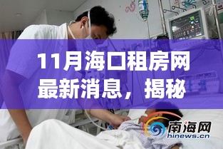 海口租房市場最新動態(tài)揭秘，11月租房網(wǎng)消息全面解讀