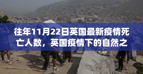 英國疫情下的自然之旅，探尋內(nèi)心寧靜與重生與最新疫情死亡人數(shù)分析