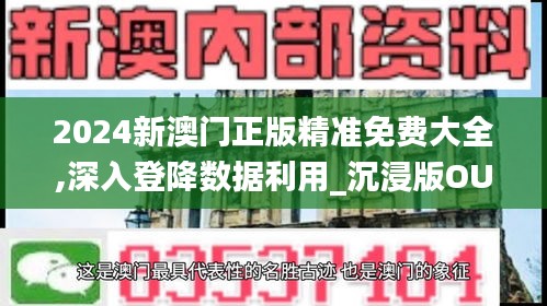 2024新澳門正版精準免費大全,深入登降數據利用_沉浸版OUL2.24