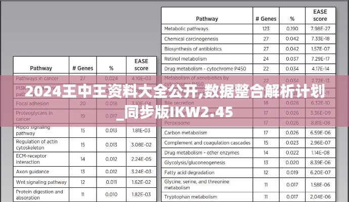 2024王中王資料大全公開,數(shù)據(jù)整合解析計劃_同步版IKW2.45