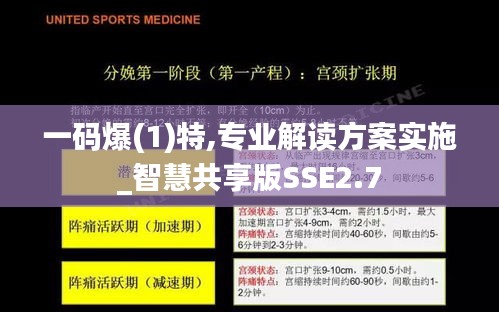 一碼爆(1)特,專業(yè)解讀方案實(shí)施_智慧共享版SSE2.7