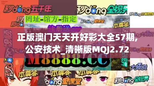 正版澳門天天開好彩大全57期,公安技術(shù)_清晰版MQJ2.72