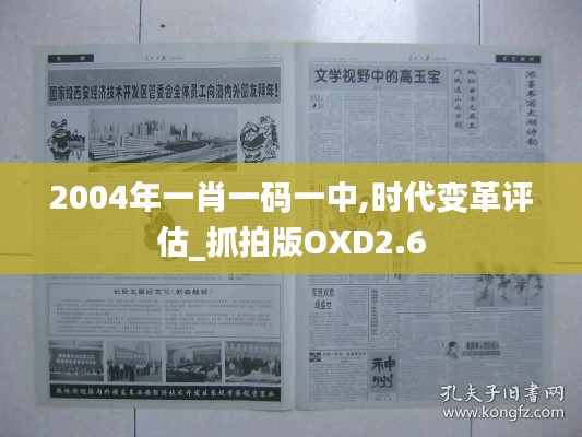 2004年一肖一碼一中,時(shí)代變革評估_抓拍版OXD2.6