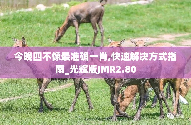 今晚四不像最準(zhǔn)確一肖,快速解決方式指南_光輝版JMR2.80