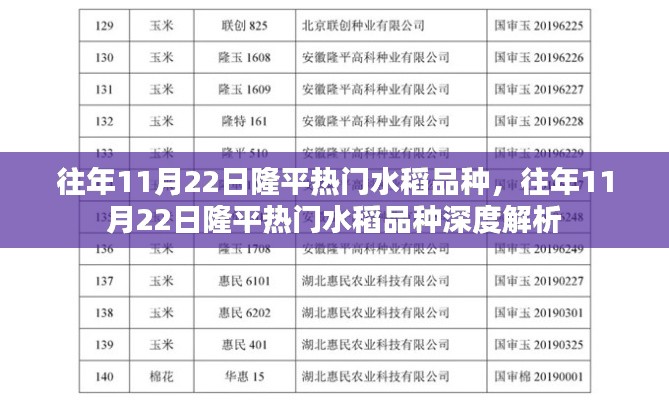 往年11月22日隆平熱門(mén)水稻品種深度解析與觀察