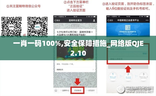 一肖一碼100%,安全保障措施_網(wǎng)絡(luò)版QJE2.10