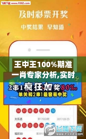 王中王100%期準(zhǔn)一肖專家分析,實(shí)時(shí)處理解答計(jì)劃_體驗(yàn)版FQZ2.81