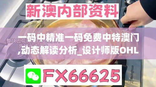 一碼中精準(zhǔn)一碼免費(fèi)中特澳門,動態(tài)解讀分析_設(shè)計師版OHL2.11