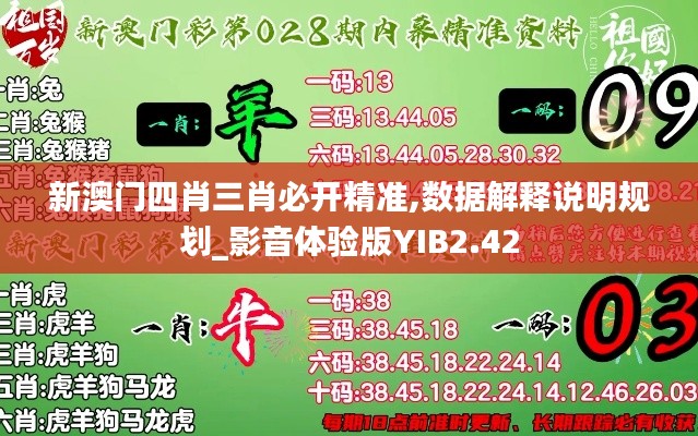 新澳門四肖三肖必開精準,數據解釋說明規(guī)劃_影音體驗版YIB2.42