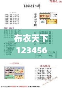 布衣天下123456今天版精華布衣圖,試機(jī)號(hào)碼,推動(dòng)策略優(yōu)化_月光版UDU2.43