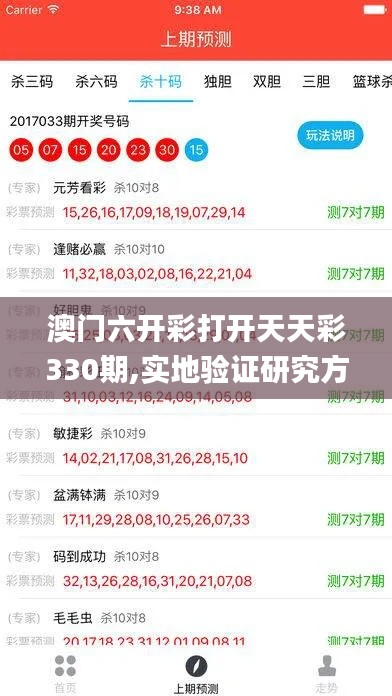 澳門六開彩打開天天彩330期,實(shí)地驗(yàn)證研究方案_銳意版DVV11.46