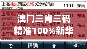 澳門三肖三碼精準(zhǔn)100%新華字典,決策信息解釋_設(shè)計(jì)師版LJB2.89