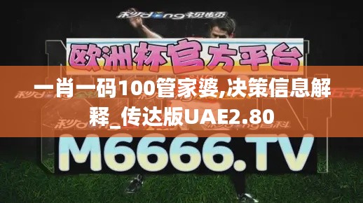 一肖一碼100管家婆,決策信息解釋_傳達版UAE2.80
