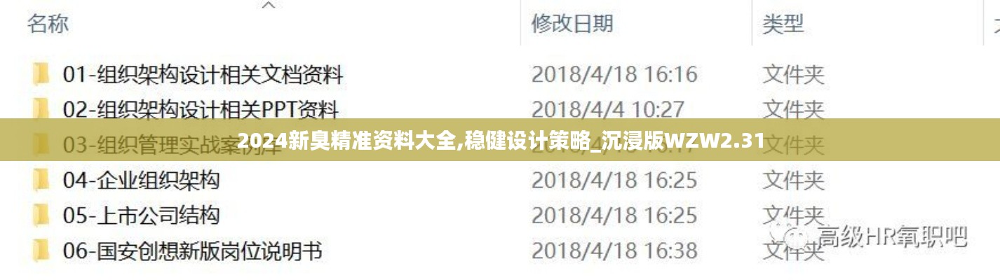 2024新臭精準資料大全,穩健設計策略_沉浸版WZW2.31