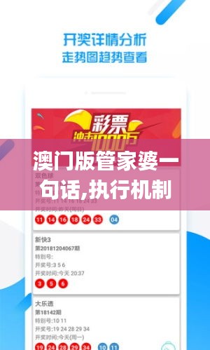 澳門版管家婆一句話,執(zhí)行機制評估_私人版UFH2.29
