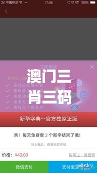 澳門三肖三碼精準(zhǔn)100%新華字典,即時(shí)解答解析分析_智能版UGM2.68