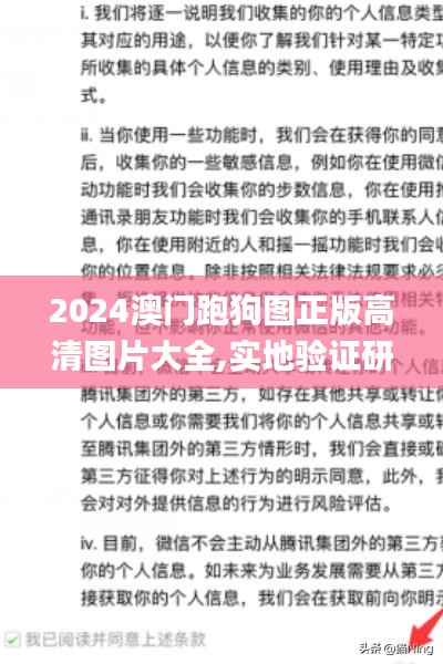 2024澳門跑狗圖正版高清圖片大全,實地驗證研究方案_原創版OJC2.63