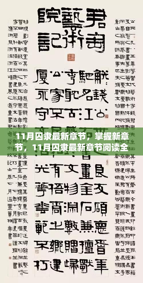 11月囚隸最新章節全攻略，掌握新章節閱讀