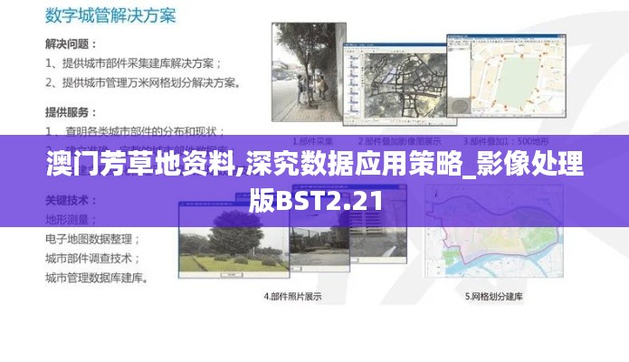 澳門芳草地資料,深究數(shù)據(jù)應(yīng)用策略_影像處理版BST2.21