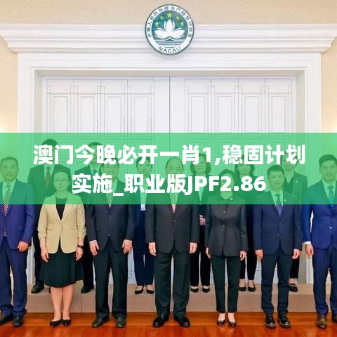 澳門今晚必開一肖1,穩(wěn)固計劃實施_職業(yè)版JPF2.86