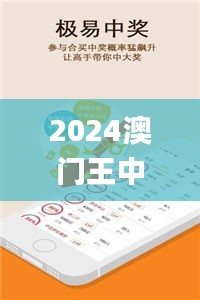 2024澳門王中王100%期期中,全面信息解釋定義_內置版WMO2.52