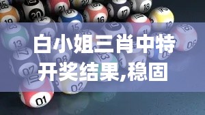 白小姐三肖中特開(kāi)獎(jiǎng)結(jié)果,穩(wěn)固執(zhí)行戰(zhàn)略分析_時(shí)尚版JCR2.82