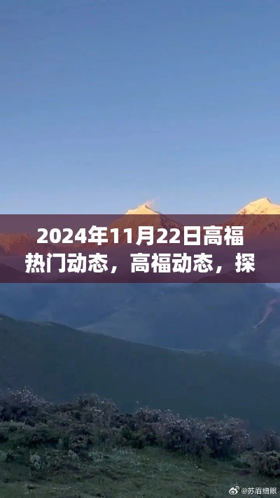 探索自然美景之旅，高福動態啟程尋找內心寧靜的啟示，2024年11月22日熱門動態回顧