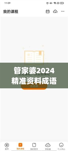 管家婆2024精準資料成語平特,數據指導策略規劃_跨界版VCT2.27