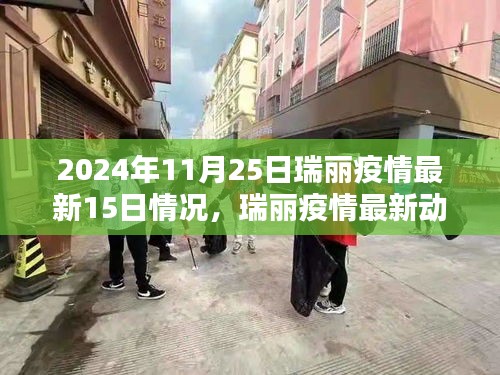瑞麗疫情最新動態及應對策略指南，近十五日情況詳解與應對指南（截至2024年11月25日）