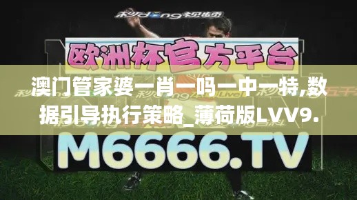 澳門管家婆一肖一嗎一中一特,數(shù)據(jù)引導執(zhí)行策略_薄荷版LVV9.46