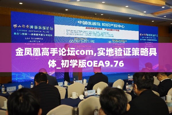 金鳳凰高手論壇com,實地驗證策略具體_初學(xué)版OEA9.76